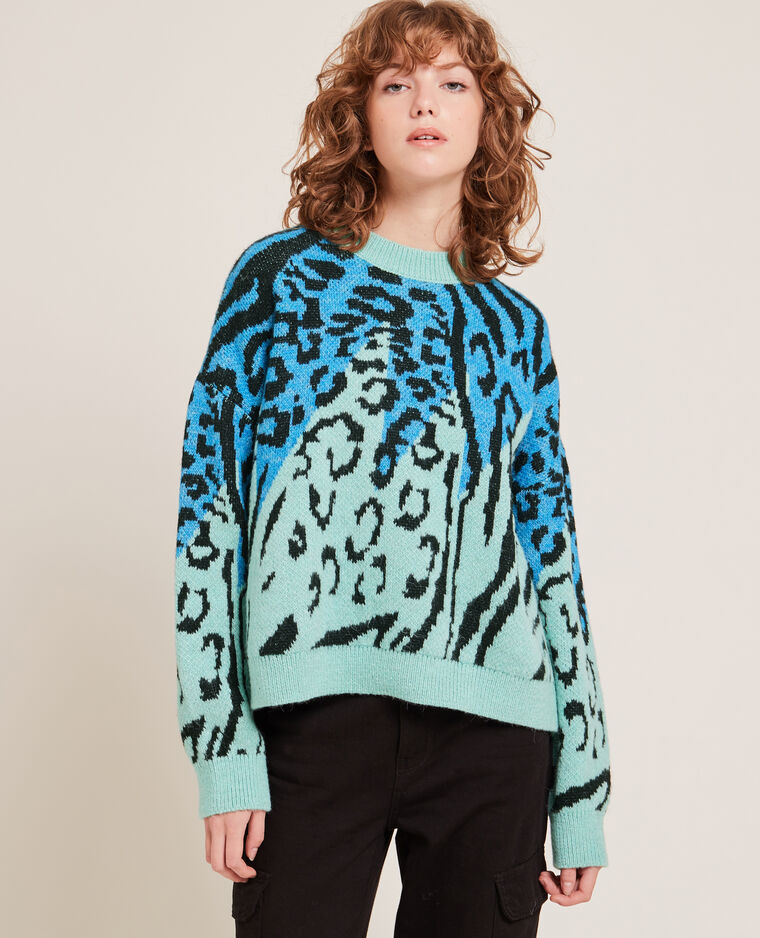 Pull motif léopard fantaisie bleu - Pimkie