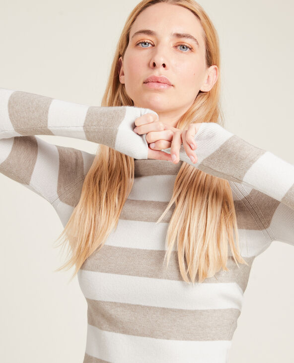 Pull fin col montant taupe - Pimkie