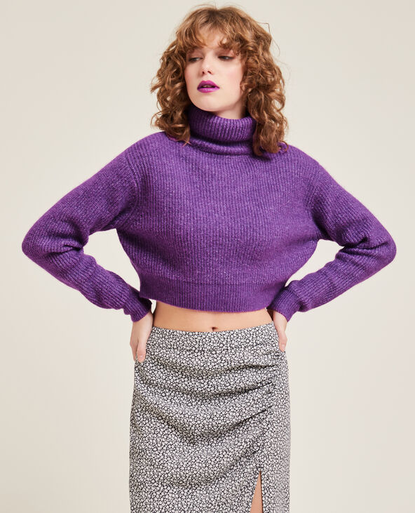 Pull crop online top col roulé