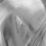 gris clair