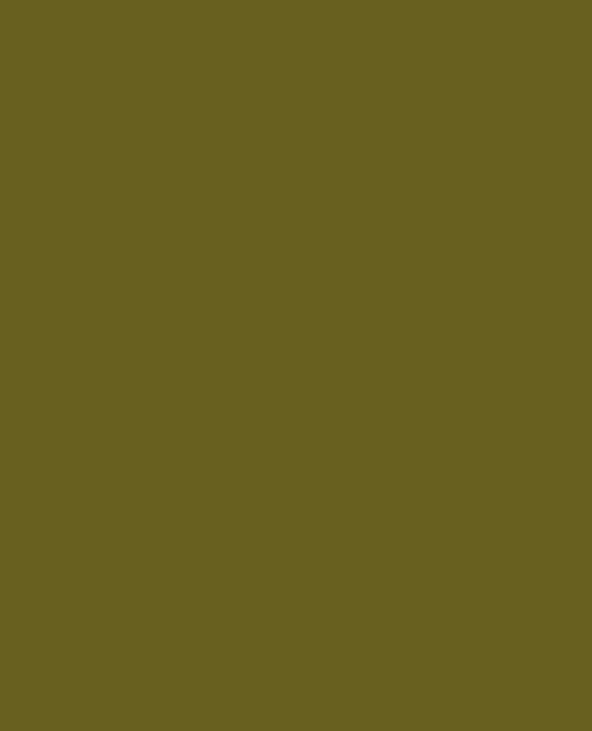 Veste courte et droite en vinyle vert olive - Pimkie