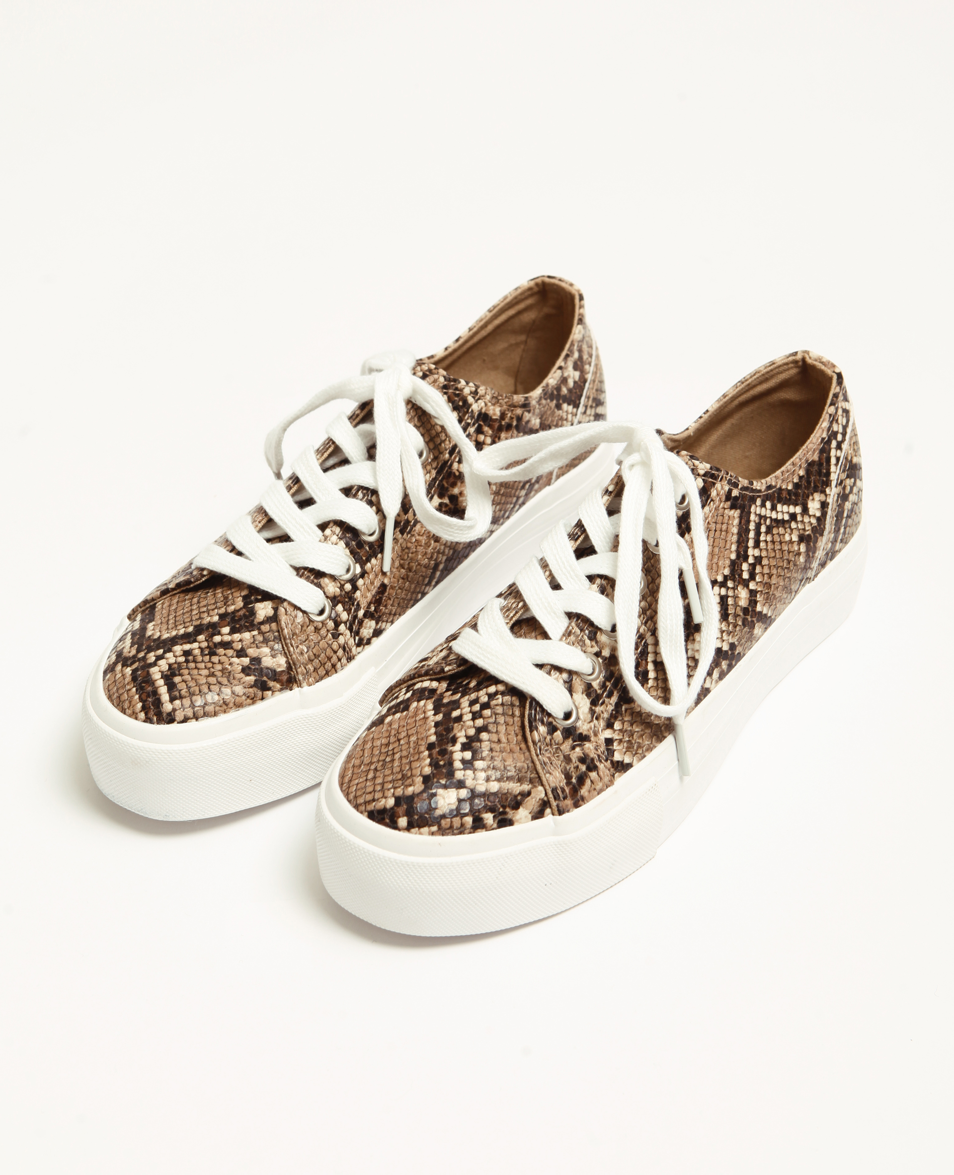 Basket online effet python